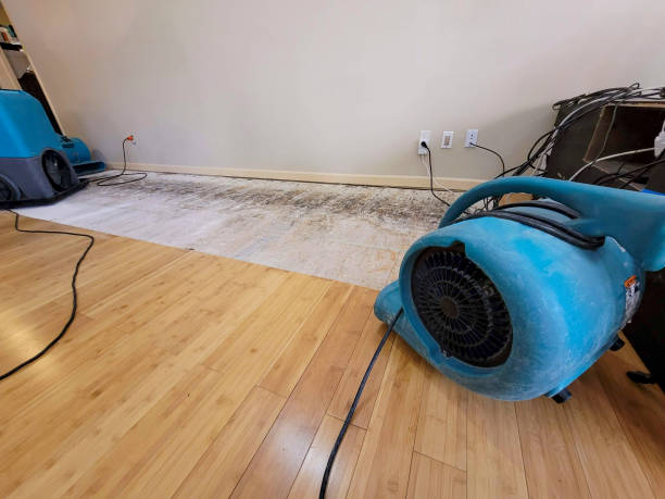 Professional Basement Flood Cleanup technician working in Chauncey, WV